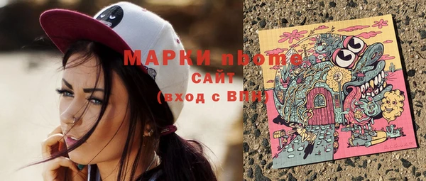 молекула духа Няндома