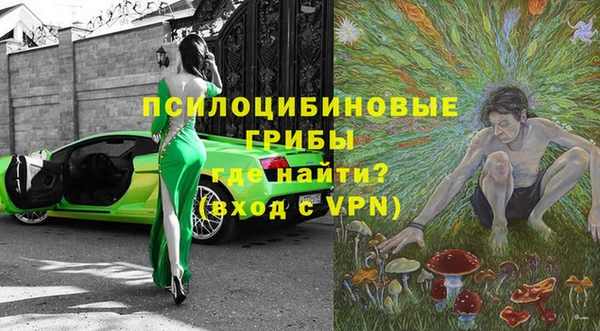 молекула духа Няндома