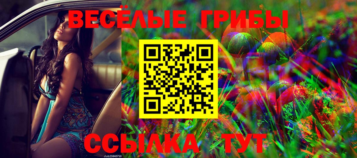 купить наркотик  Галлюциногенные грибы GOLDEN TEACHER  Псилоцибиновые грибы MAGIC MUSHROOMS  Вход с VPN  Каменка 