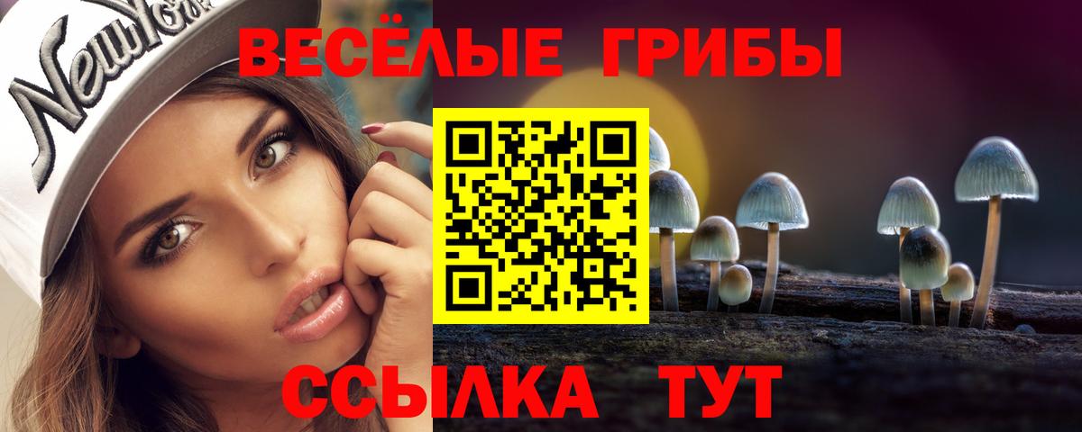 Псилоцибиновые грибы ЛСД Каменка